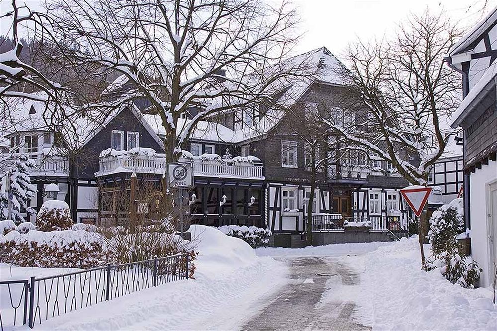 Landhotel Albers Schmallenberg Esterno foto